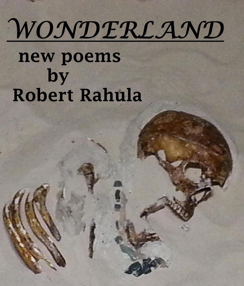 Wonderland by Robert Rahula